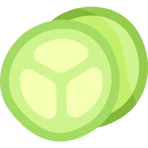 Cucumber slice icon