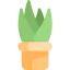 Aloe vera icon 64x64