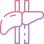 Liver icon 64x64