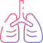 Lungs icon 64x64