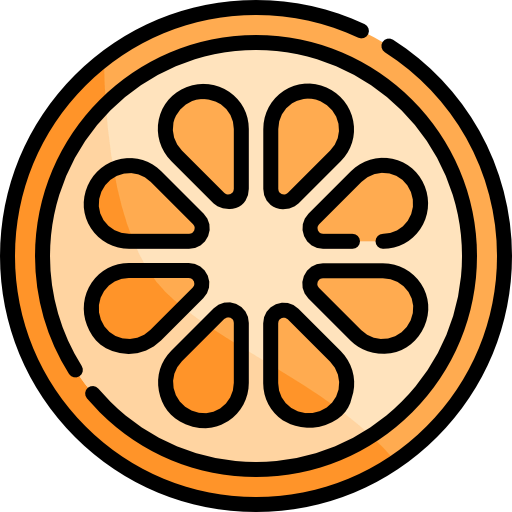 Orange slice icon