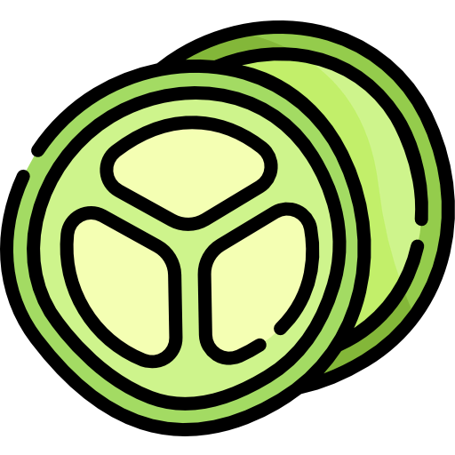 Cucumber slice icon