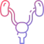 Prostate ícono 64x64