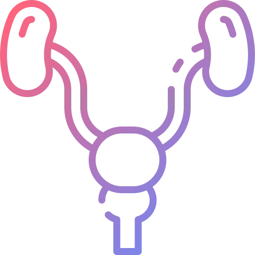 Prostate ícono