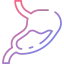 Stomach icon 64x64