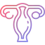 Uterus icon 64x64