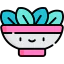 Salad icon 64x64