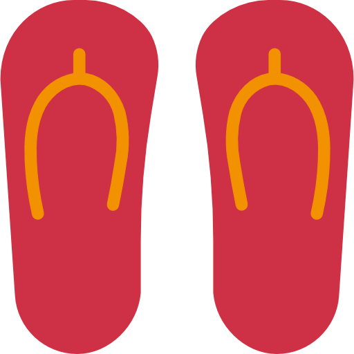 Flip flops icon