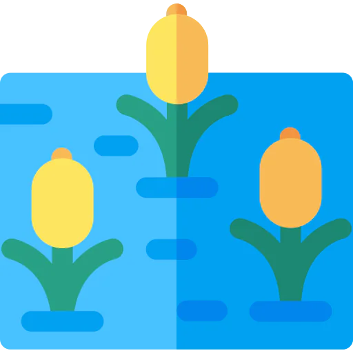 Lake icon
