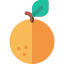 Orange icon 64x64