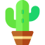 Cactus icon 64x64