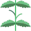 Mint icon 64x64