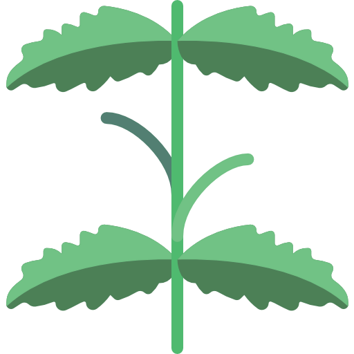Mint icon
