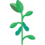 Soybean Ikona 64x64