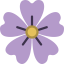 Acanthaceae icon 64x64