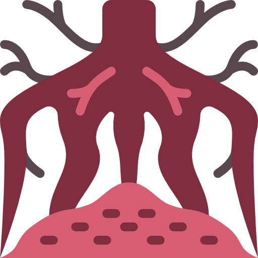 Root icon
