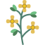 Mustard icon 64x64