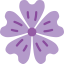 Mallow icon 64x64