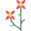 Madder icon 64x64
