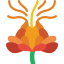 Safflower icon 64x64