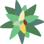 Bromeliaceae icon 64x64