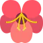Acanthaceae icon 64x64