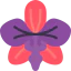 Orchidaceae icon 64x64
