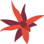 Bromeliaceae icon 64x64