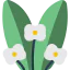 Spurge icon 64x64