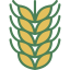 Barley icon 64x64