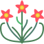 Madder icon 64x64