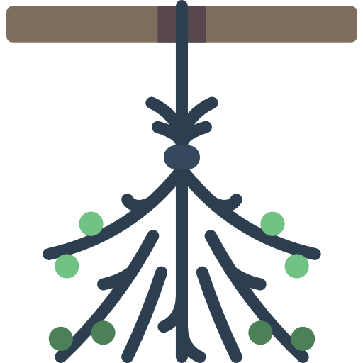 Dried icon