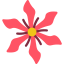 Madder icon 64x64