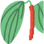 Pepper icon 64x64