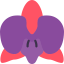 Orchidaceae icon 64x64