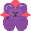Orchidaceae icon 64x64