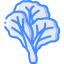 Cabbage icon 64x64