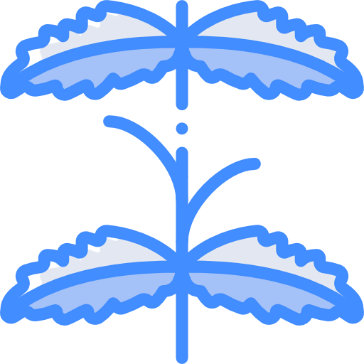 Mint icon