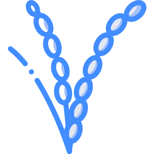 Rice icon