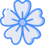 Acanthaceae icon 64x64