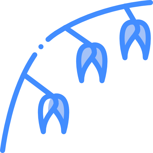 Oat icon
