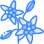 Spurge icon 64x64