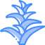 Bromeliaceae icon 64x64