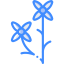Madder icon 64x64