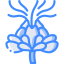 Safflower icon 64x64