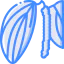 Pepper icon 64x64