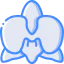 Orchidaceae icon 64x64