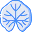 Mallow icon 64x64