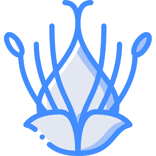 Sedge icon
