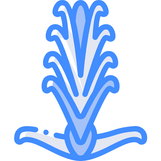 Acanthaceae icon